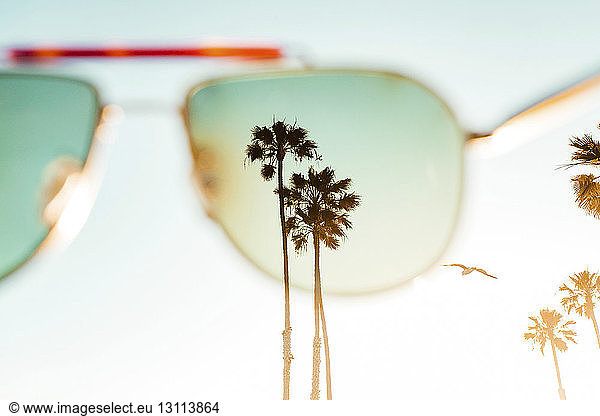 Palmen durch Sonnenbrille gegen klaren Himmel gesehen