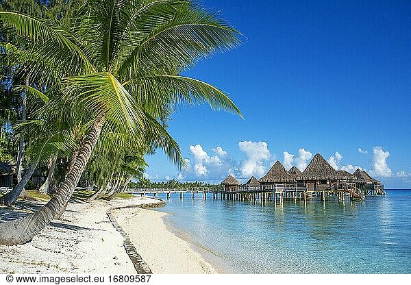 Palmen und Strand des Luxushotels Kia Ora Resort & Spa auf Rangiroa  Tuamotu-Inseln  Frankreich.