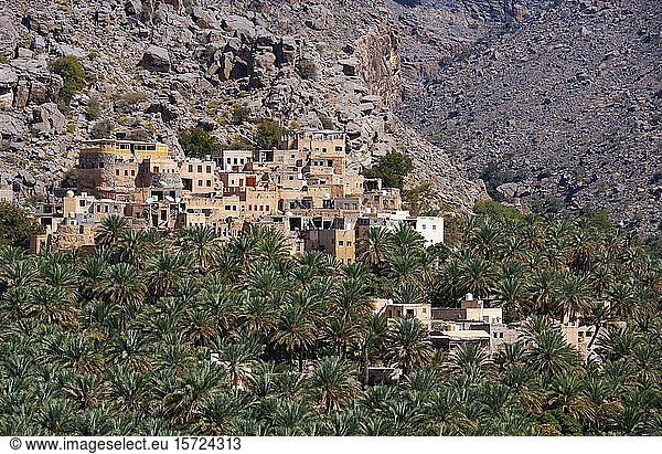 Palmenhain  Misfat al Abriyyin  Region Ad Dakhiliyah  Oman  Asien