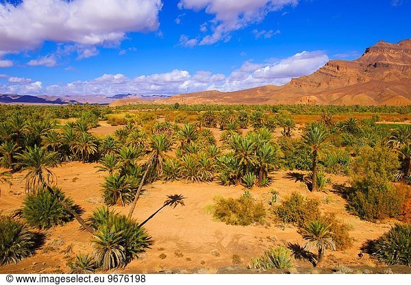 Palmenhain Nordafrika Tal Fluss Geographie Draa valley Marokko Oase