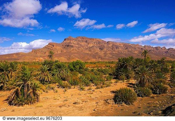Palmenhain Nordafrika Tal Fluss Geographie Draa valley Marokko Oase