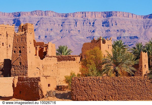 Palmenhain Nordafrika Tal Fluss Geographie Draa valley Marokko Oase