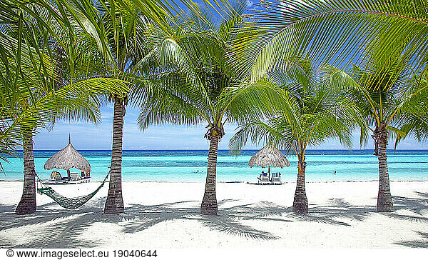 Panglao Beach  Bohol Island.