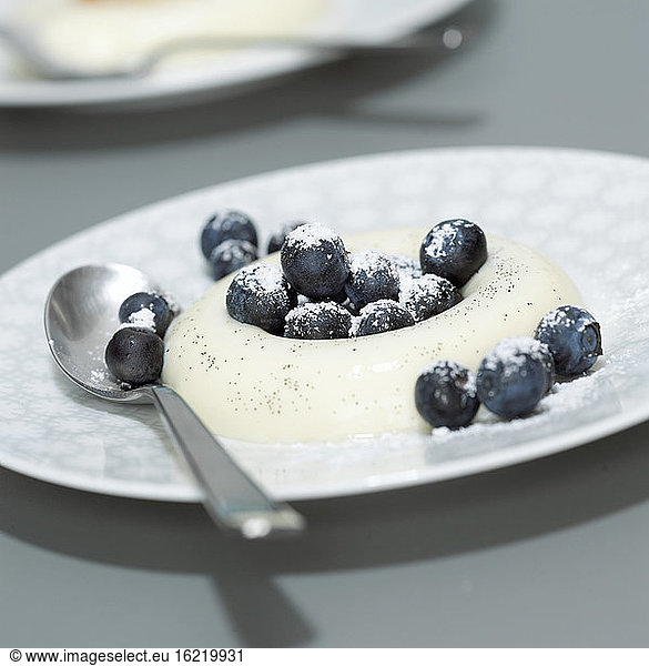 Panna Cotta with blueberries  close-up