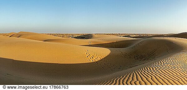 Panorama der Dünen in der Wüste Thar. Sam Sanddünen  Rajasthan  Indien  Asien