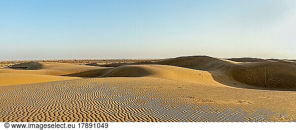 Panorama der Dünen in der Wüste Thar. Sam Sanddünen  Rajasthan  Indien  Asien