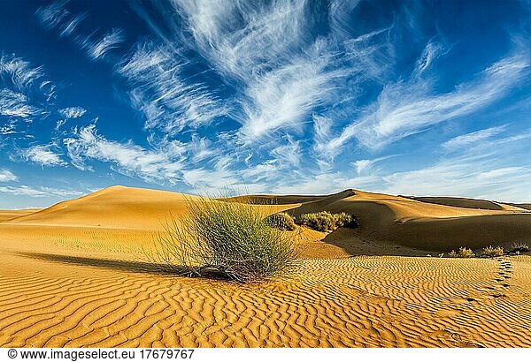 Panorama der Sam-Sanddünen in der Wüste Thar. Rajasthan  Indien  Asien