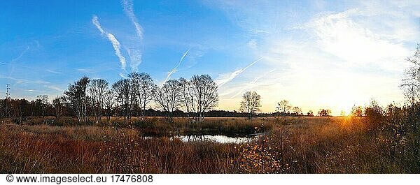 Panorama Landschaftsaufnahme Sonnenaufgang im Moor  Naturschutzgebiet Großes Moor am Ewigen Meer  Niedersachsen  Deutschland  Europa