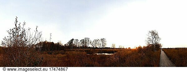 Panorama Landschaftsaufnahme Sonnenaufgang im Moor  romantischer Wanderweg  Naturschutzgebiet Großes Moor am Ewigen Meer  Niedersachsen  Deutschland  Europa