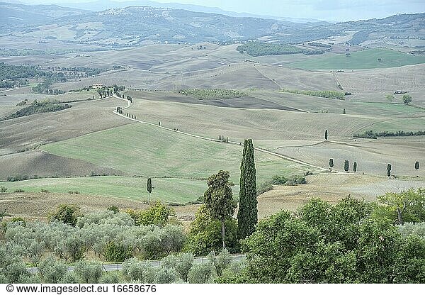 Panorama-Luftbild mit Straße in grüner  sanfter Hügellandschaft der Toskana  aufgenommen in hellem Licht von Pienza  Siena  Toskana  Italien.