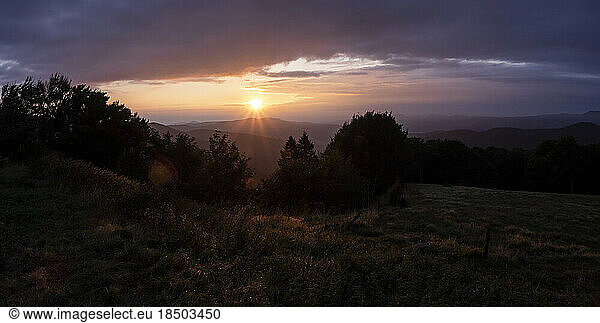 Panorama of coniferous forest and mountain landscape at sunrise  Stosswihr  Vosges  France