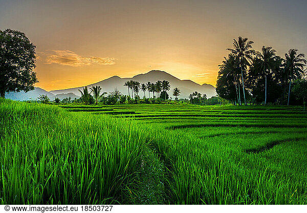 panorama of indonesian natural mountains in the morning