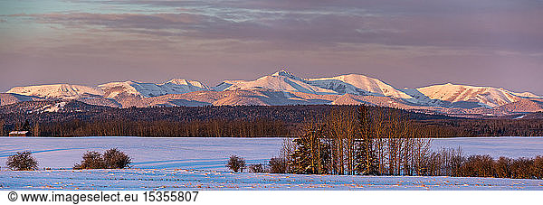 Panorama of snow-covered mountain range with the warm glowing light at sunrise  colourful cloud cover with a snow-covered field and trees  West of Calgary; Alberta  Canada