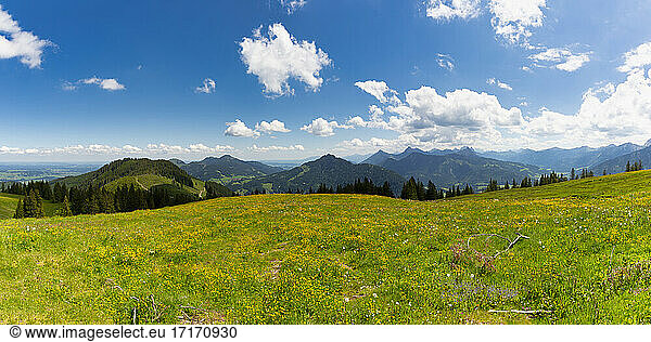 Panorama of springtime meadow in Allgau Alps
