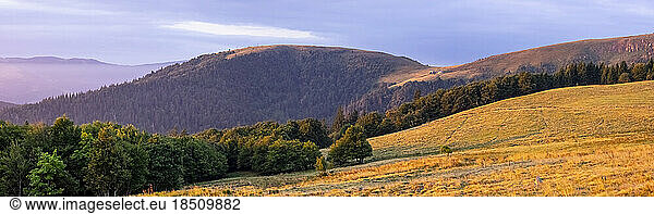 Panorama view of forest landscape with Mountains in backgrounds  Stosswihr  Vosges  France