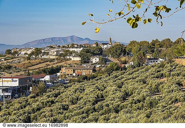 Panoramablick auf Baeza  UNESCO-Welterbestätte. Provinz Jaen  Andalusien  Südspanien  Europa.