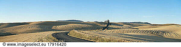 Panoramablick auf das Ackerland bei Palouse  eine schwarze Straße und hügeliges Ackerland mit Stoppelfeldern.