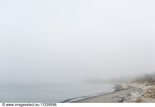 Panoramablick auf den Strand bei nebligem Wetter