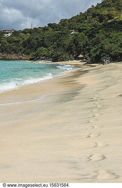 Panoramablick auf Parc a Boeuf Beach  Grenada  Karibik