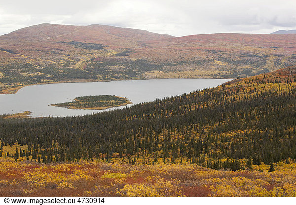 Panoramablick über den See Fish Lake und die umliegende subalpine Tundra  Altweibersommer  herbstlich gefärbte Blätter  Herbst  Yukon Territorium  Kanada