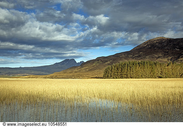 Panoramablick sonnige Sümpfe und Hügel  Loch Carron  Wester Ross  Schottland