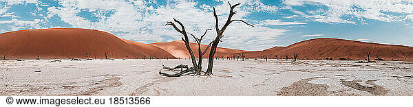 panoramic landscape of Deadvlei in Namibia
