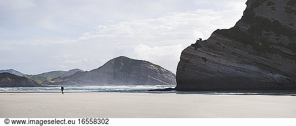 Panoramic Photo of a Backpacker Walking Along Deserted Windy Wharariki Beach Golden Bay South Island New Zealand. Wharariki Beach is a remarkable remote deserted beach weathered by strong driving winds located in the north of South Island New Zealand in the Golden Bay Area.