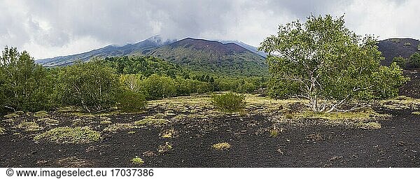 Panoramic photo of Mount Etna Volcano landscape  showing an old lava flow from a volcanic eruption  Sicily  UNESCO World Heritage Site  Italy  Europe. This is a panoramic photo of Mount Etna Volcano landscape  showing an old lava flow from a volcanic eruption  Sicily  UNESCO World Heritage Site  Italy  Europe.