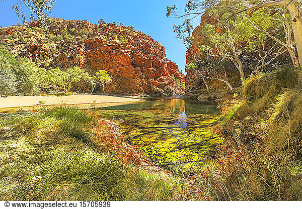 Panoramic view of Ellery Creek Big Hole waterhole in West MacDonnell Ranges surrounded by red cliffs and bush outback vegetation  Northern Territory  Central Australia  Australia  Pacific