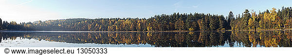 Panoramic view of lake against forest during autumn