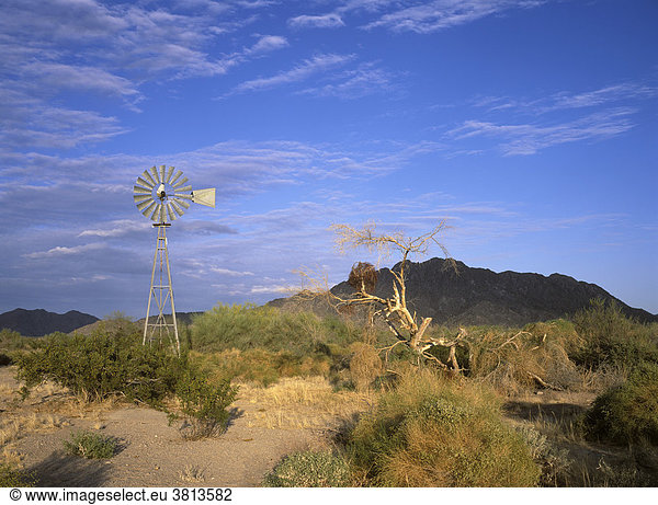 Papago Well  Cabeza Prieta National Wildlife Refuge  Windrad  Arizona  USA