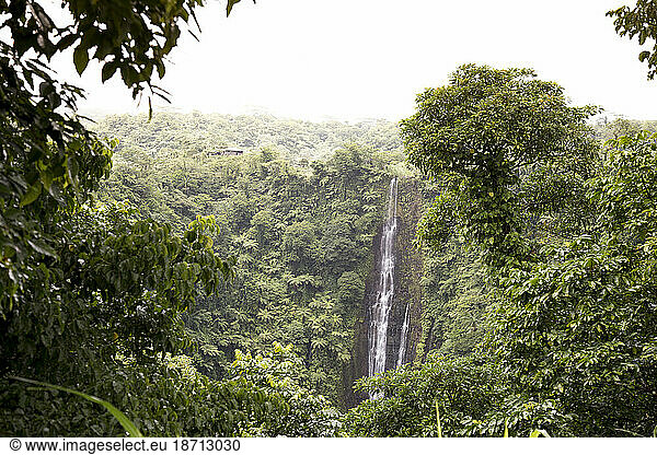 Papapapaitai waterfalls surrounded with tropical plants  Samoa
