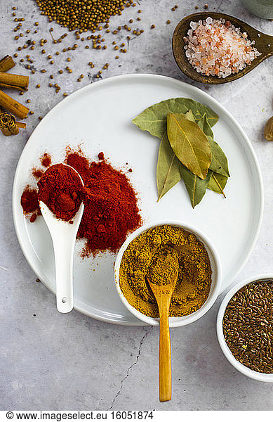 Paprika  curry powder  pink salt and coriander seeds  and Bay leaves and nutmeg  cinnamon