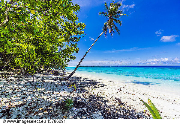 Papua New Guinea  Milne Bay Province  Blue sky over sandy coastal beach of Conflict Islands in summer