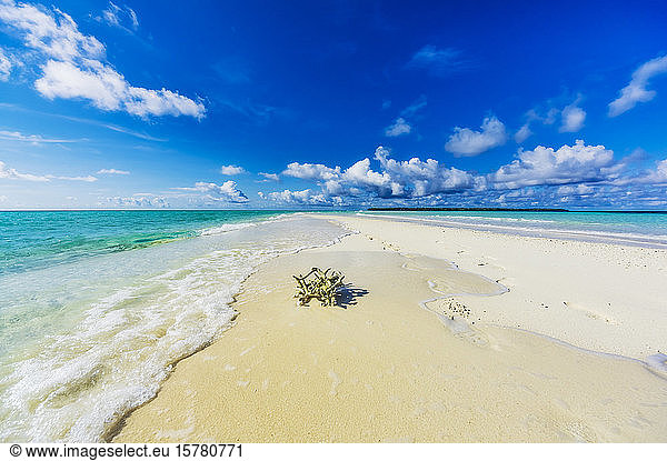 Papua New Guinea  Milne Bay Province  Blue sky over seaweed lying on sandy coastal beach of Conflict Islands in summer