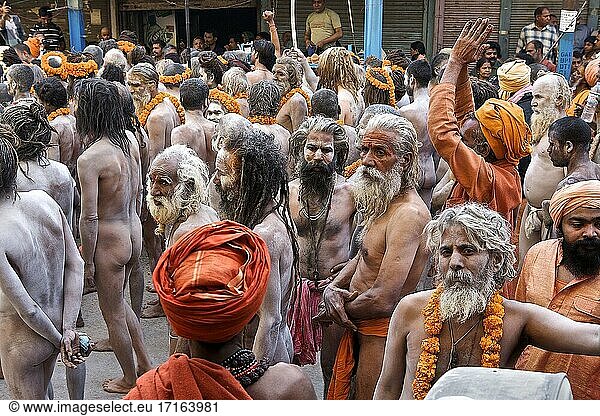 Parade der Nagas während des Shivaratri-Tages in B?nares zum Abschluss der Kumbh Mela in Allahabad  UP  Indien.