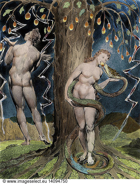 Paradise Lost  The Temptation and Fall of Eve