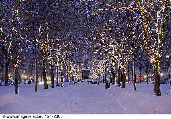 Park and trail covered in snow and illuminated by white lights in wintertime with a monument along the tree-lined trail; Boston  Massachusetts  United States of America