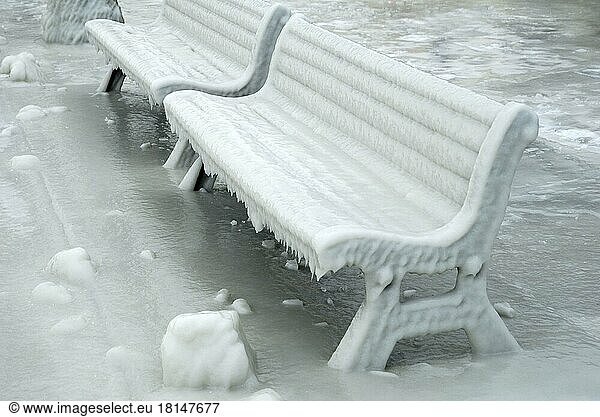 Park benches covered with ice  Park bench  Lake Geneva  Versoix  Canton Geneva  Switzerland  Europe