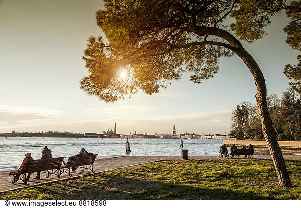 Park benches on waterfront  Venice  Veneto  Italy