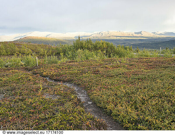 Path amidst Tundra field against mountains at Jamtland  Sweden