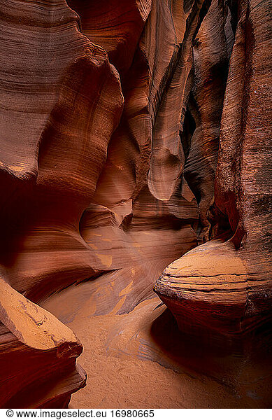 Path leading through slot canyon walls  Antelope Canyon X  Page  Arizona  USA