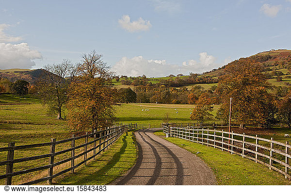 path on the countryside in North Wales