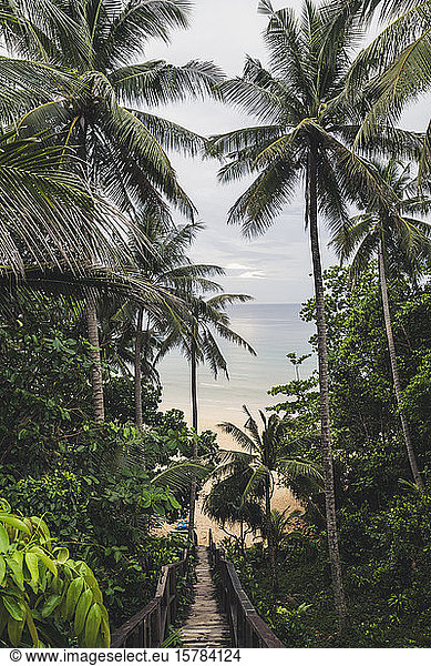 Path through palm tees towards Nai Thon Beach  Phuket  Thailand