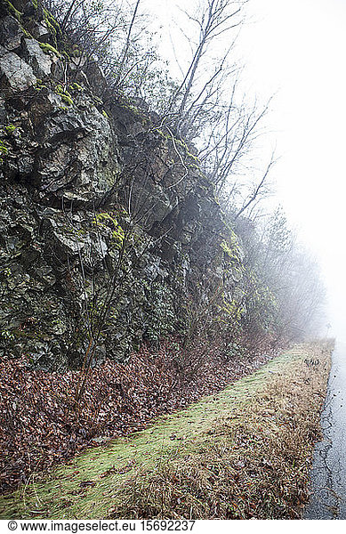 path  winter  fog  nature  rock formations