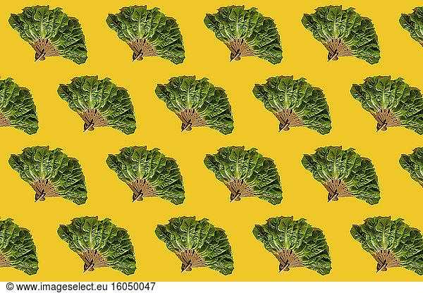 Pattern of hand fans made of lettuce leaves
