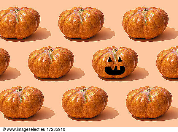 Pattern of raw pumpkins surrounding single jack-o-lantern