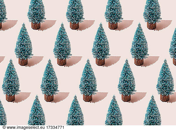 Pattern of rows of coniferous trees standing against pink background