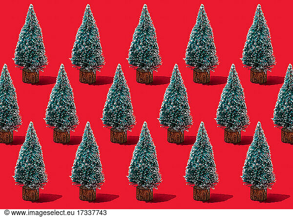Pattern of rows of coniferous trees standing against vibrant red background