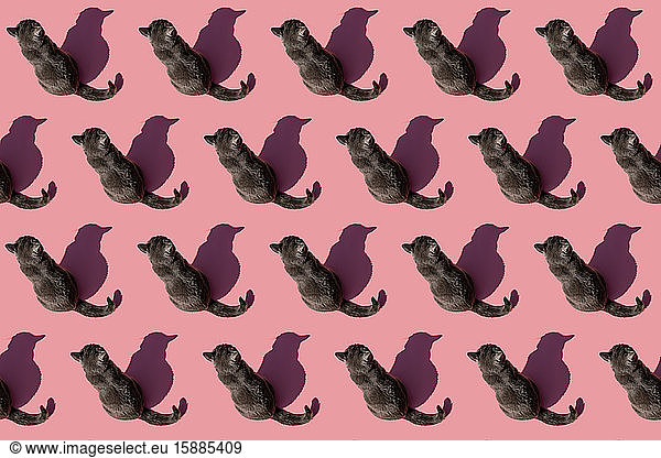 Pattern of Russian Blue cat sitting against pink background